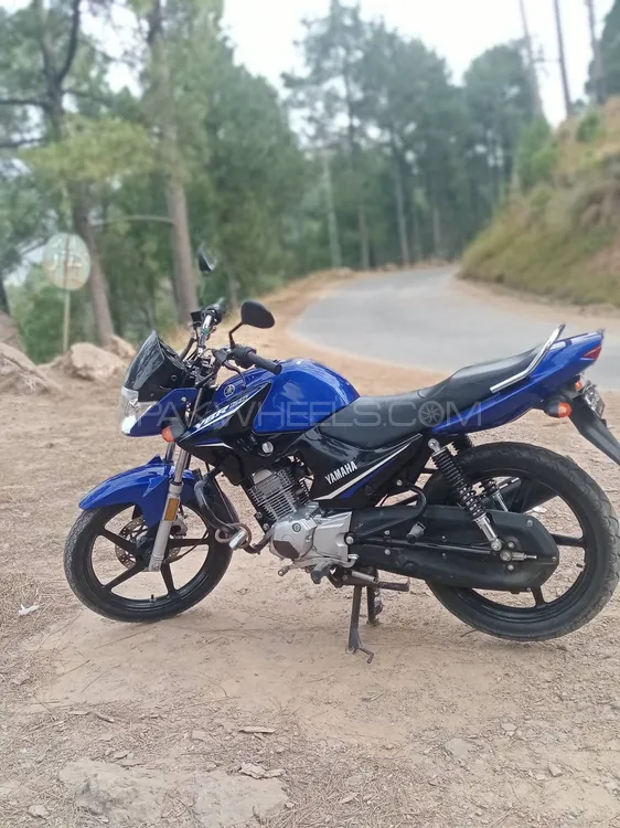 Yamaha YBR 125 2022 for Sale Image-1