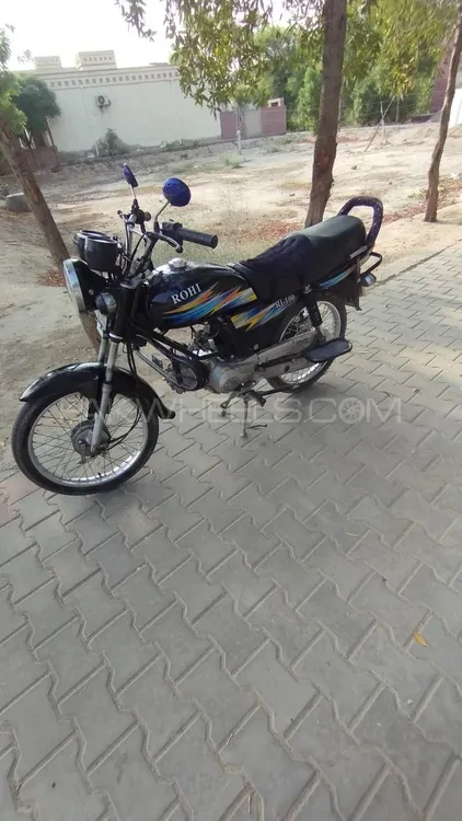 Ravi Other 2024 for Sale Image-1