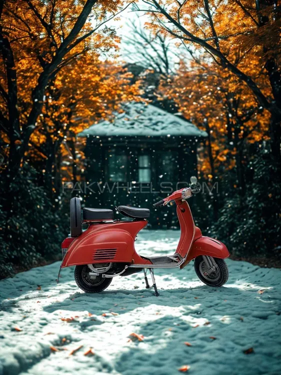 Vespa  PIAGGIO 1977 for Sale Image-1