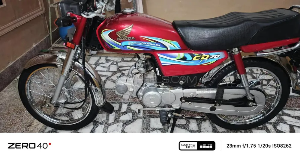 Honda CD 70 2024 for Sale Image-1