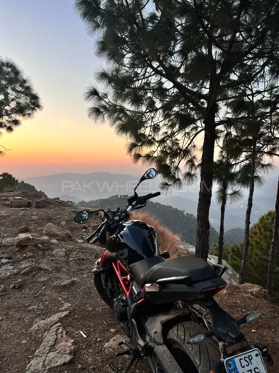 Benelli 302S 2024 for Sale Image-1