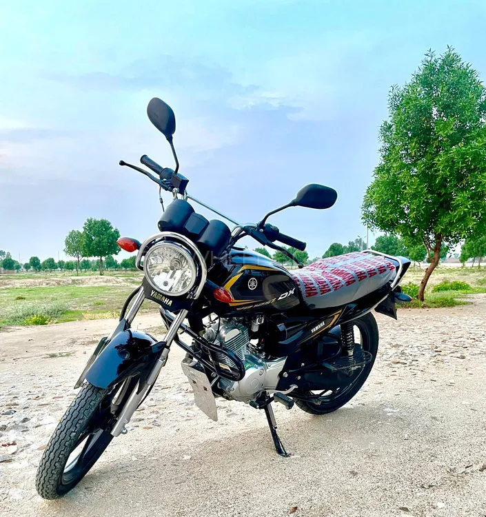 Yamaha YB 125Z-DX 2024 for Sale Image-1