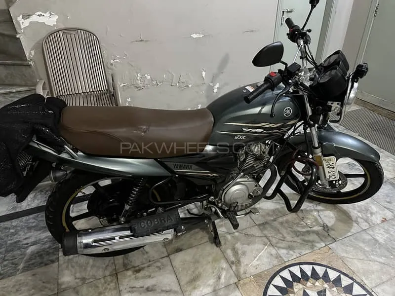 Yamaha YB 125Z-DX 2023 for Sale Image-1