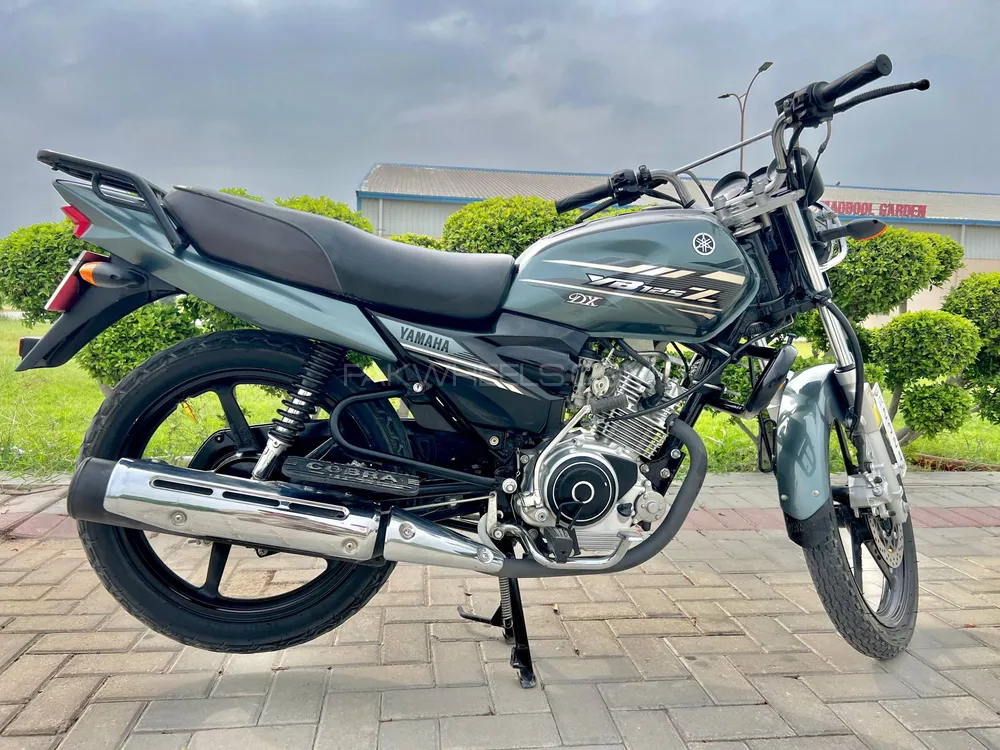 Yamaha YB 125Z-DX 2023 for Sale Image-1