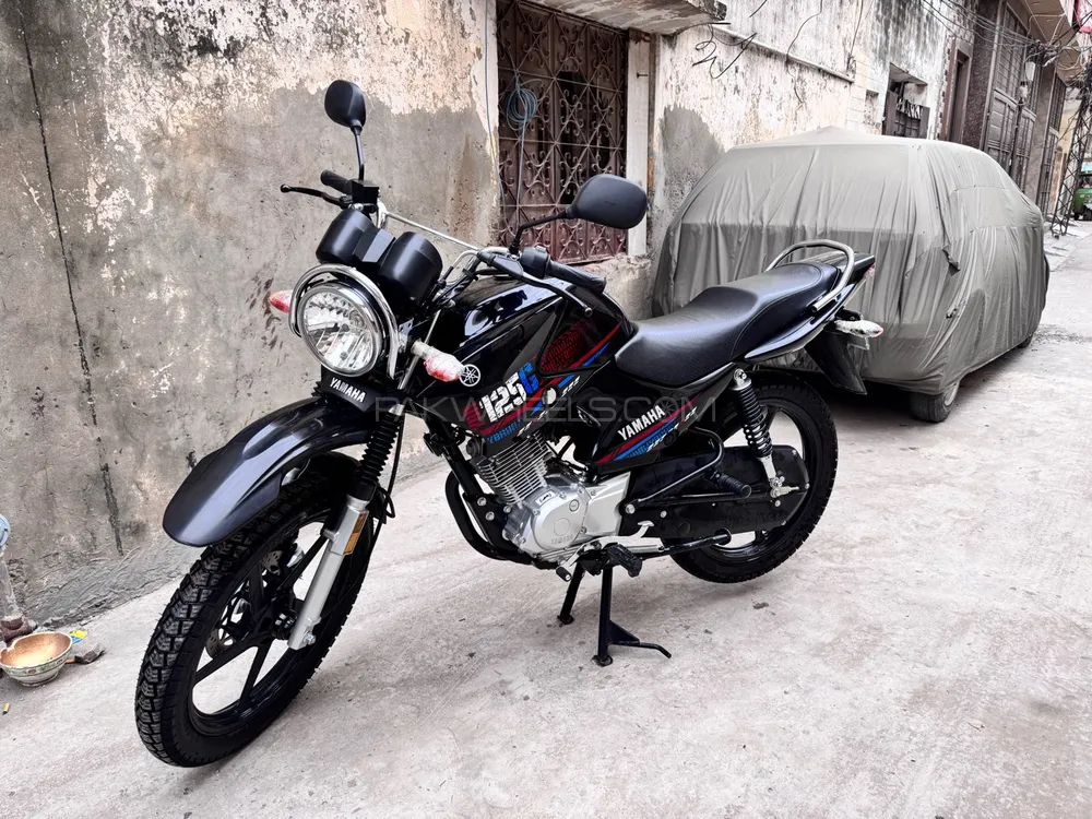 Yamaha YBR 125 2024 for Sale Image-1