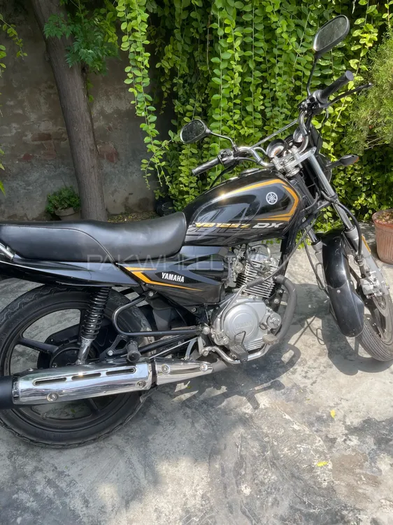 Yamaha YB 125Z-DX 2025 for Sale Image-1
