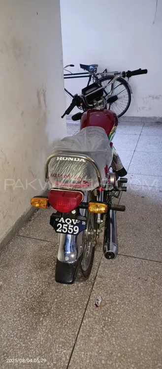 Honda CD 70 2023 for Sale Image-1