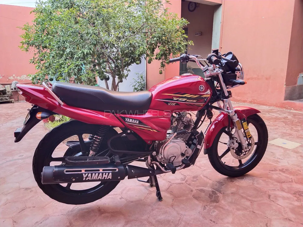 یاماہا YB 125Z-DX 2022 for Sale Image-1