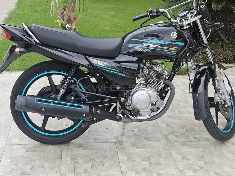 Yamaha YB 125Z-DX 2023 for Sale Image-1
