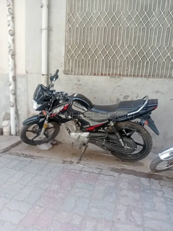 Yamaha YBR 125 2024 for Sale Image-1