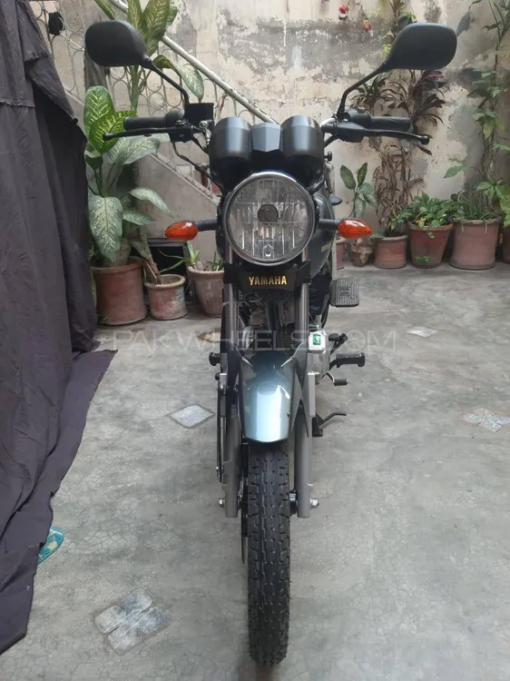 Yamaha YBR 125 2024 for Sale Image-1