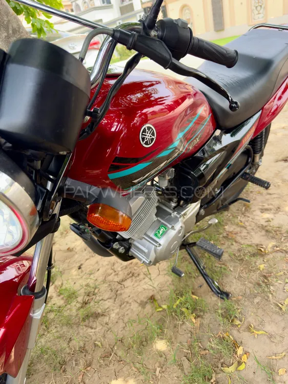 Yamaha YBR 125 2023 for Sale Image-1