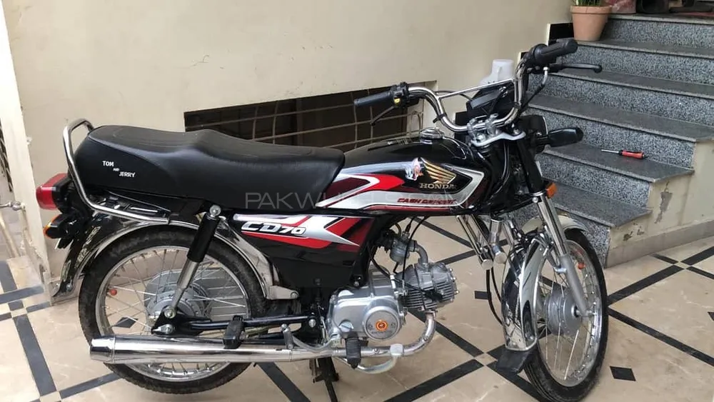 Honda CD 70 2024 for Sale Image-1