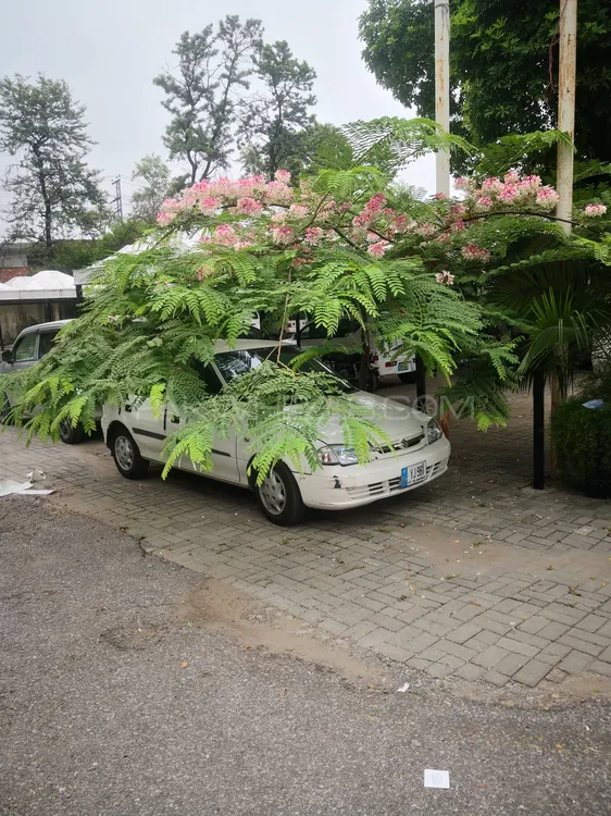سوزوکی کلٹس 2013 for Sale in راولپنڈی Image-1