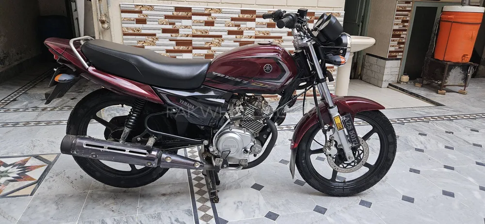 Yamaha YB 125Z-DX 2025 for Sale Image-1
