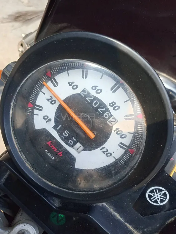 Yamaha YB 125Z-DX 2022 for Sale Image-1