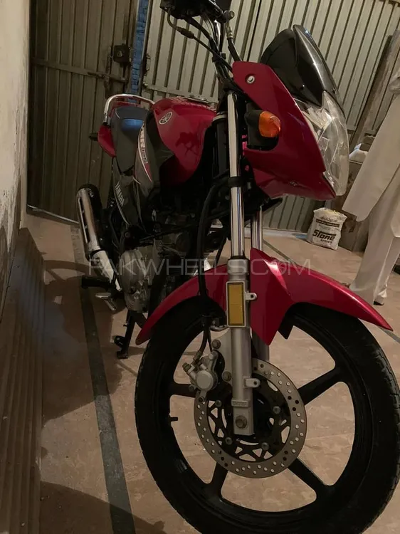 Yamaha YBR 125 2022 for Sale Image-1