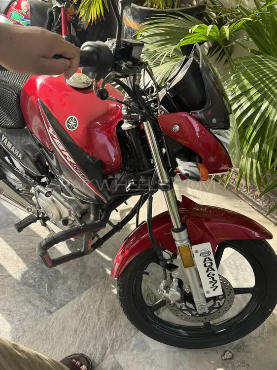 Yamaha YBR 125 2023 for Sale Image-1