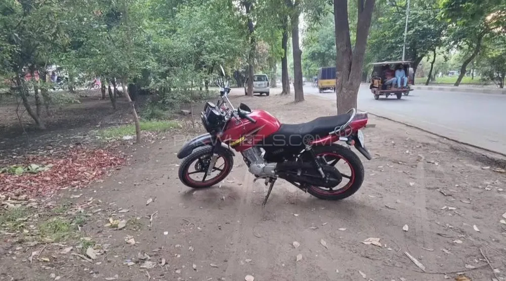 Yamaha YBR 125G 2019 for Sale Image-1