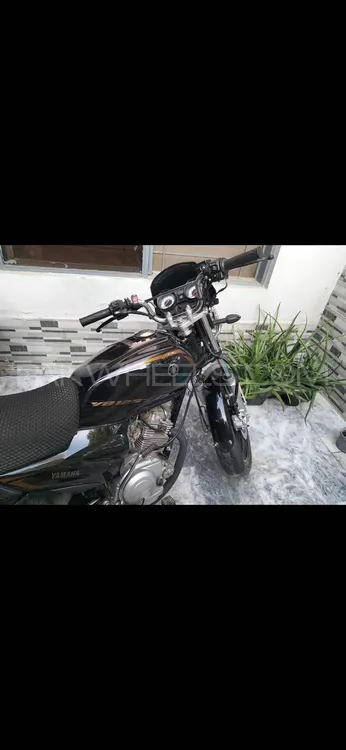 Yamaha YB 125Z-DX 2024 for Sale Image-1