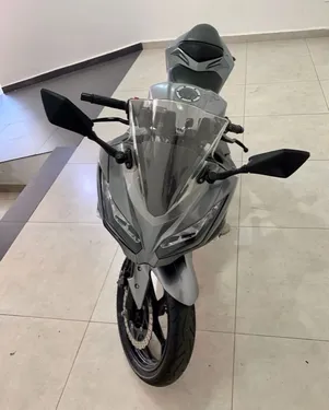 Kawasaki Ninja ZX300 2022