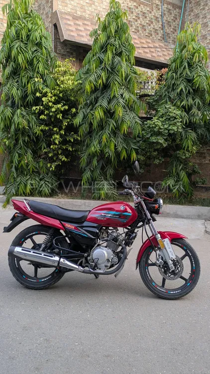 Yamaha YB 125Z-DX 2022 for Sale Yamaha YB 125Z-DX 2022 for Sale Image-1