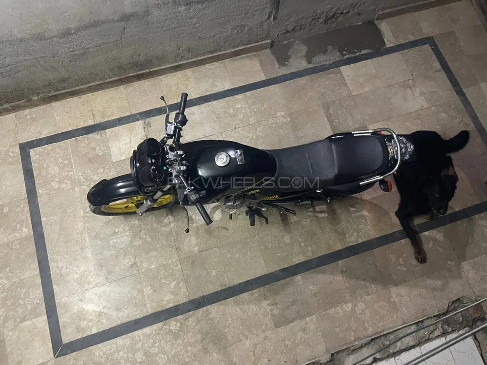Yamaha YBR 125 2021 for Sale Image-1
