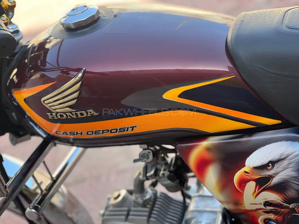 Honda CD 70 2024 for Sale Image-1