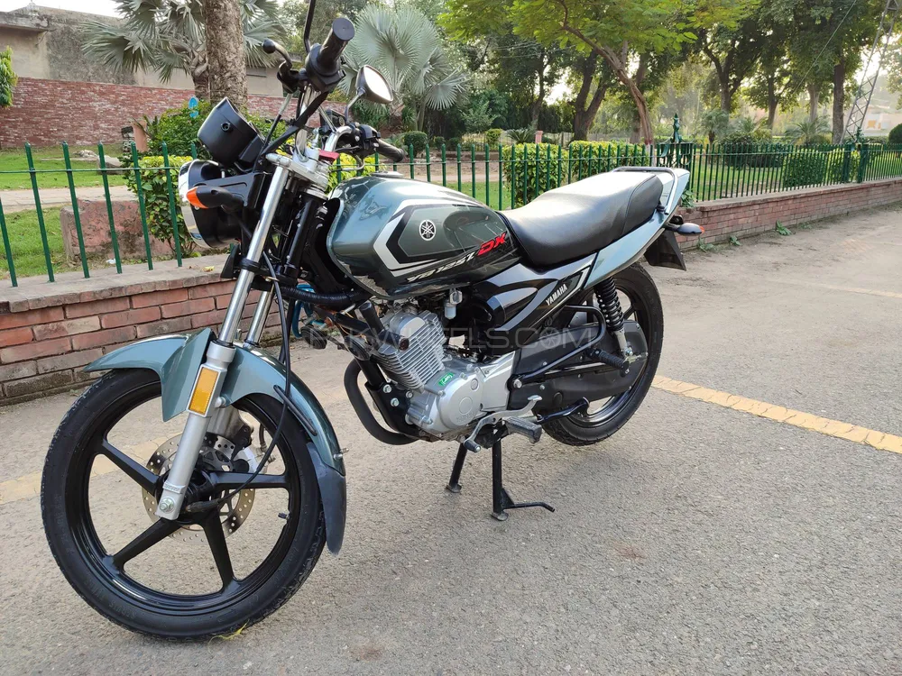Yamaha YB 125Z-DX 2024 for Sale Image-1