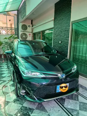 Toyota Corolla Fielder 2019