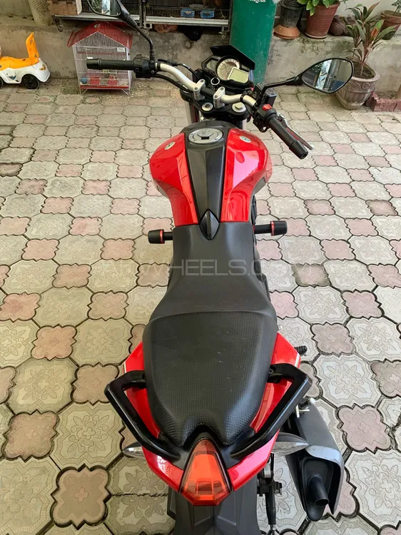 Benelli TNT 25  2019 for Sale Benelli TNT 25  2019 for Sale Image-8