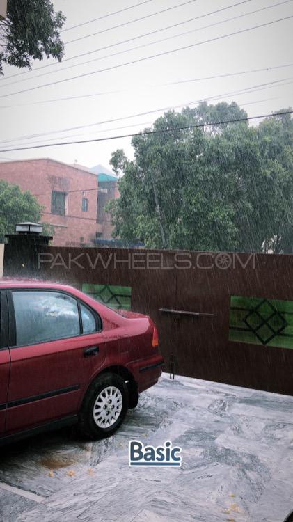 Honda Civic - 1999  Honda Civic - 1999  Image-3