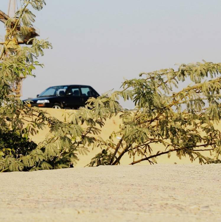 Honda Civic - 1988  Honda Civic - 1988  Image-10