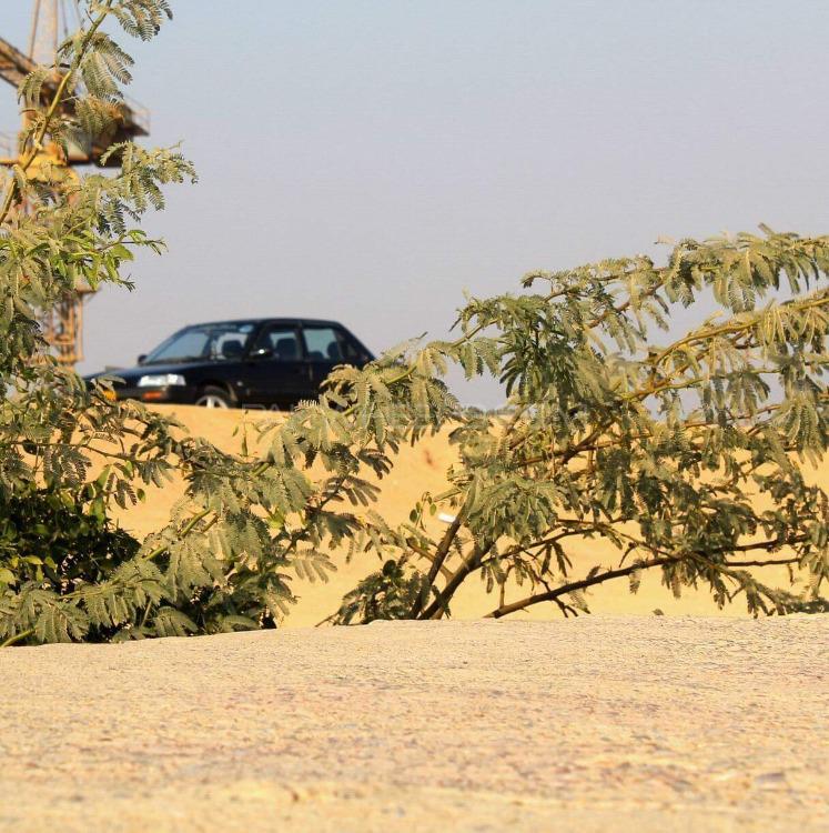 Honda Civic - 1988  Honda Civic - 1988  Image-5