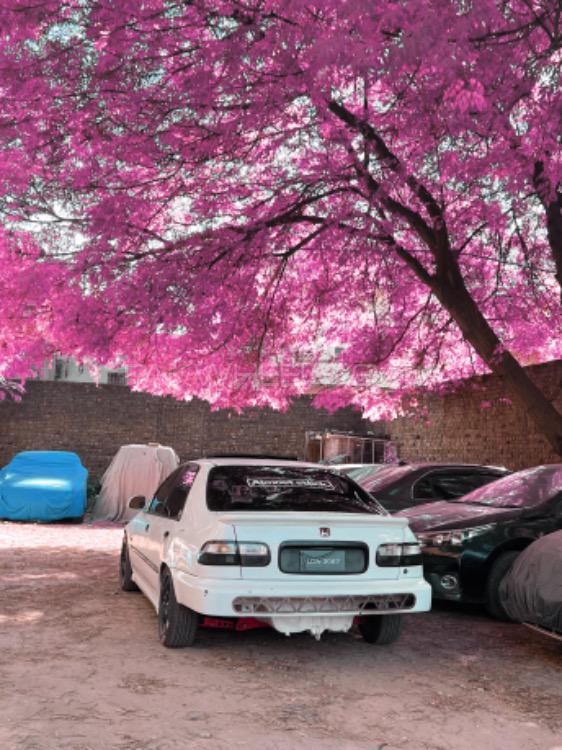 Honda Civic - 1995  Image-1