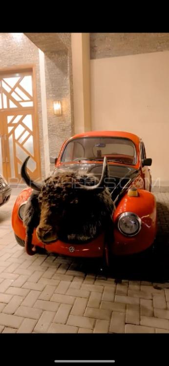 Volkswagen Beetle - 1973 Red vine Image-1