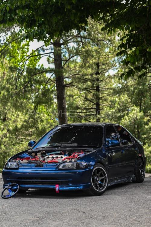 Honda Civic - 1995 Dolphin Image-1