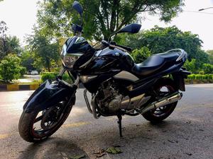 suzuki inazuma 2021