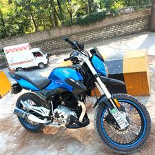 road prince 150 price