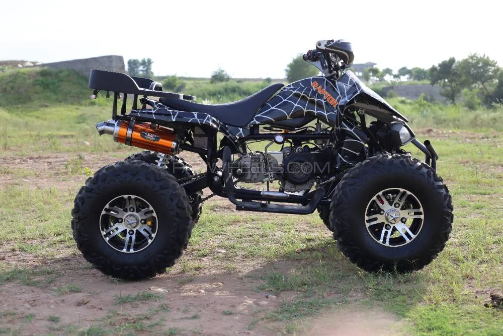 NPTC Reptor 250CC 2023 for Sale Image-1