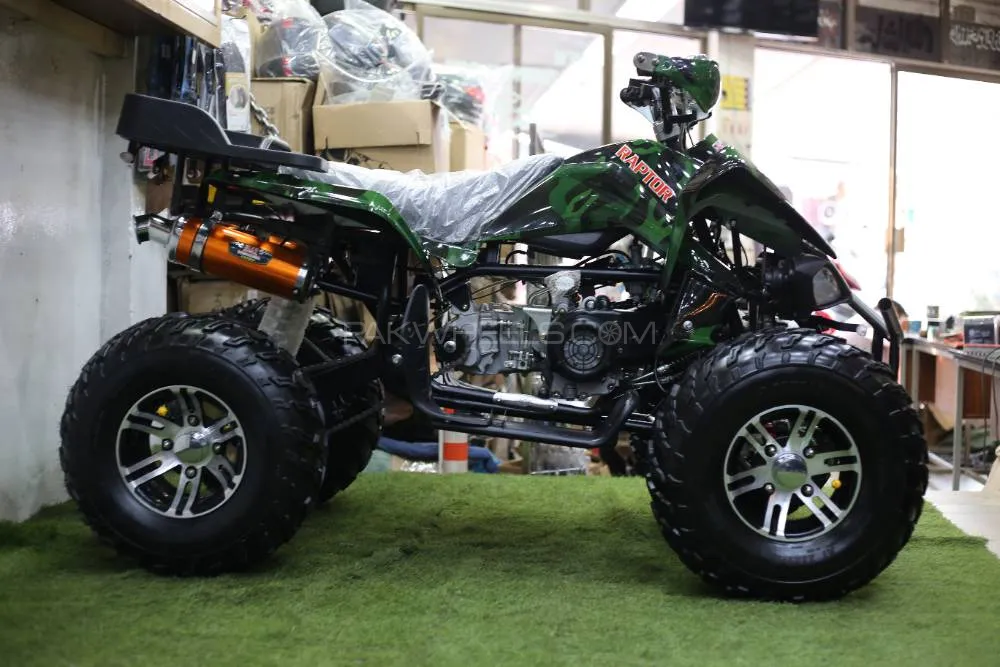 NPTC Reptor 250CC 2023 for Sale Image-1