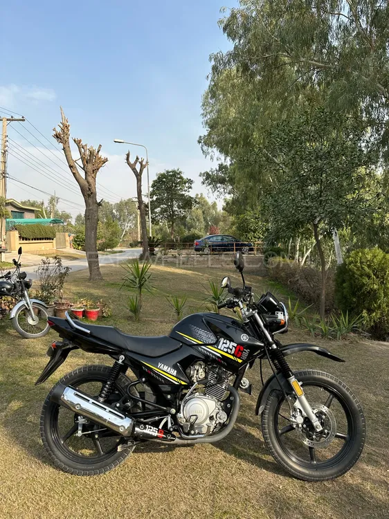 Yamaha YBR 125 2021 for Sale Image-1