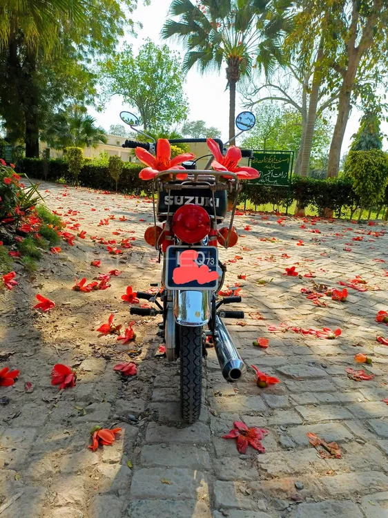 Suzuki Other 1973 for Sale Image-1