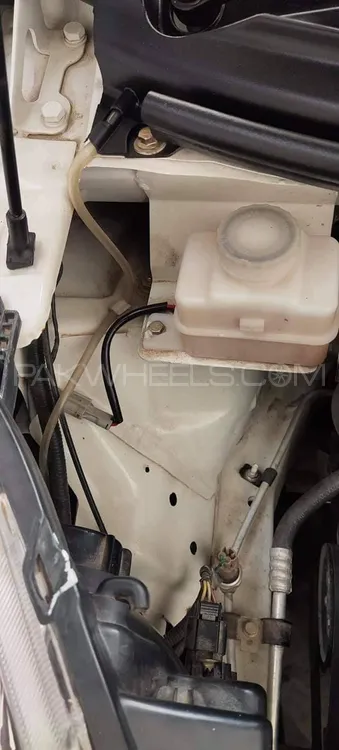 Prince Pearl 2020 for Sale in Okara Image-1