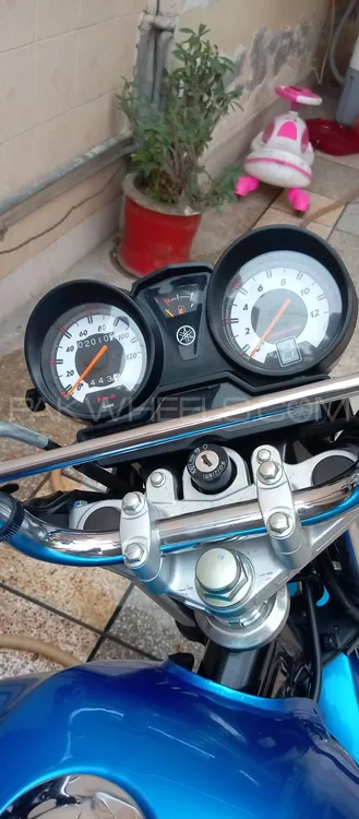 Yamaha YB 125Z-DX 2023 for Sale Image-1