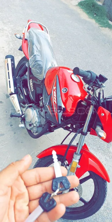 Yamaha YBR 125 2022 for Sale Image-1