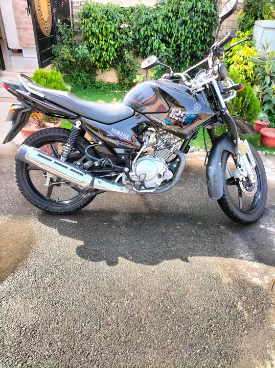 Yamaha YBR 125 2023 for Sale Image-1