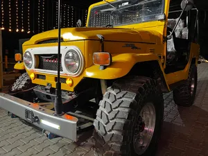 Toyota Land Cruiser 1974 for Sale