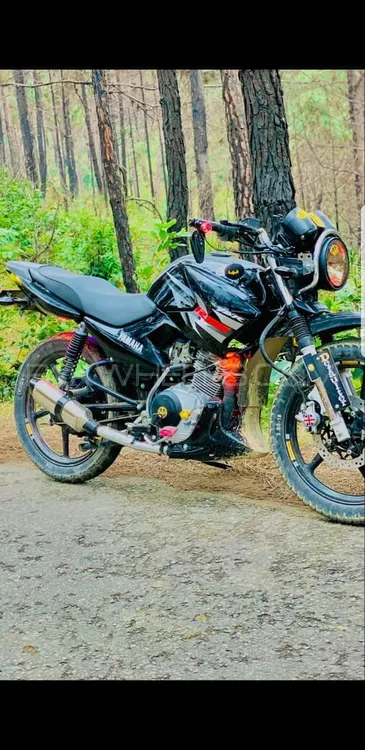 Yamaha YBR 125 2019 for Sale Image-1