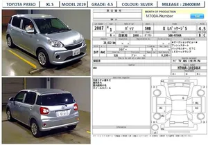 Toyota Passo X L Package S  2019 for Sale
